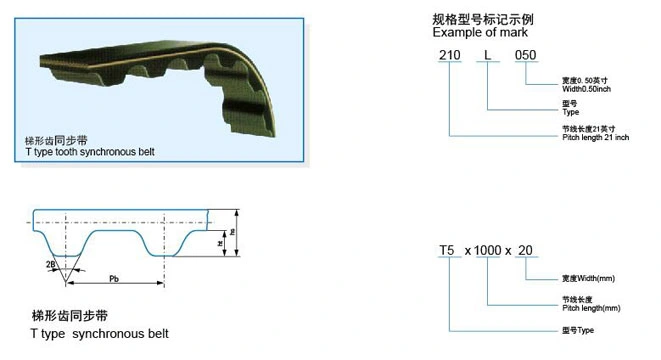 Cixi Huixin Industrial Rubber Timing Belt Htd 560/576/600/608/624-8m