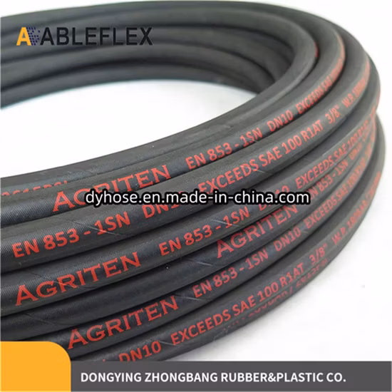 3/8 1sn Braid Hydraulic Hose Pipe SAE 100r1 En853 Pressure Industrial Hose Assembly